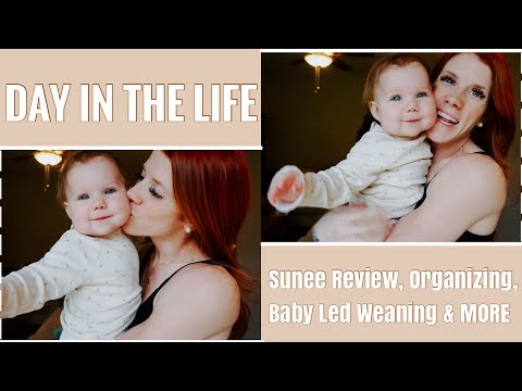 A DAY IN THE LIFE w/ A 7 MONTH OLD | Sunee Review, Organizing, Baby Led Weaning, & MORE