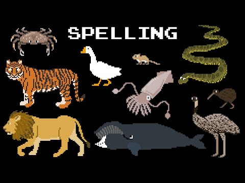 Animal Spelling 2 - The Kids' Picture Show