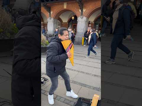 Pan flute 🪈 playing at Copenhagen central Station, Denmark 🇩🇰 Street Music Musician | 2024