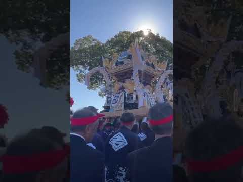 Matsuri festival in Japan #fypyoutube #shortvideo #matsurifestival #ytshorts #fyp #ofw # #travel