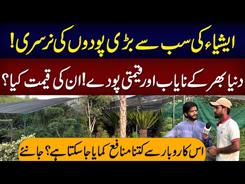 Asia Biggest Plants Nursery In Pakistan | Neo Digital