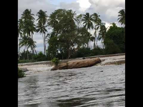 MULLAPERIYAR RIVER @UTHAMAPALAYAM