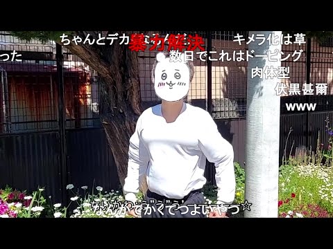 【コメ付き】『ちいかわ』第29話「筋トレ」