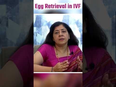 🤔IVF में Egg कैसे निकालते हैं? - Egg Retrieval Process in IVF #shorts