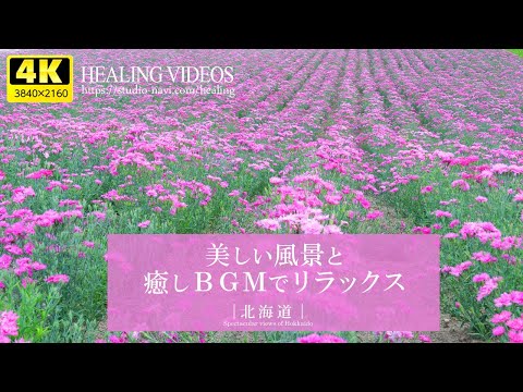 [Healing] Spectacular views of Japan! "Hokkaido" Vast land, nature, and gentle piano BGM