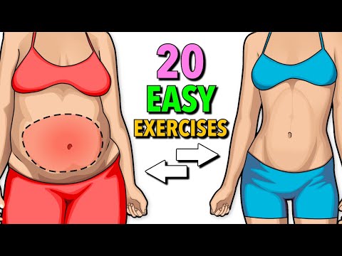 20 Easy Exercises for Belly Fat Reduction – No Jumping Required