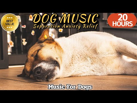 20 HOURS of Dog Calming Music🐶🎵Dog Separation Anxiety Music💖🦮Sleepy Music for Your Dogs⭐Healingmate