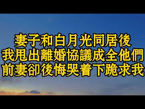 妻子和白月光同居後我甩出離婚協議成全他們前妻卻後悔哭着下跪求我