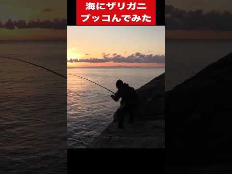 ザリガニを海に丸ごと沈めると…