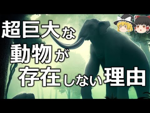 【生存に有利】最終的には全ての動物は巨大化するのか【ゆっくり解説】【雑学】