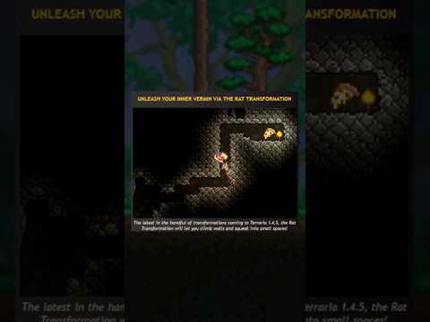 Terraria Is Letting You Turn Into A Rat...