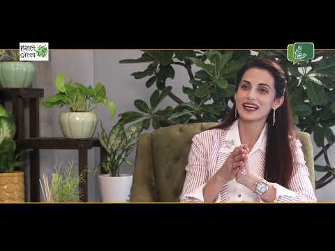 Teaser Renuka Chowdhury Ep 2 2 Sustainable Star Sustainable Living