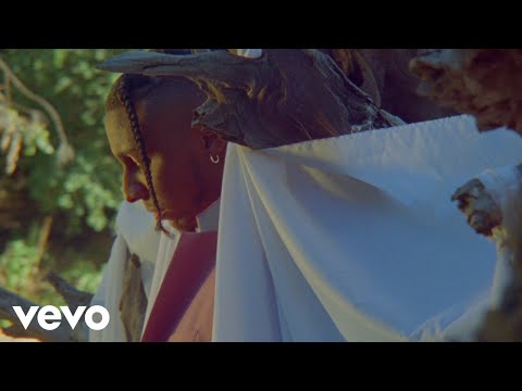 Masego, Shenseea - Silver Tongue Devil (Visualizer)