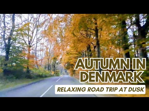 Autumn Road Trip Through Denmark: Towns, Countryside & Cozy Vibes 🇩🇰