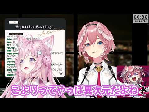 異次元過ぎるホロメンとholoxで話題に上がる人物について語る鷹嶺ルイ【ホロライブ/ホロライブ切り抜き】