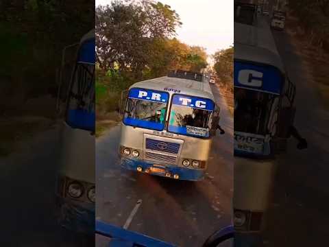 prtc sangrur 🥀🥀 sangrur to ludhiana 🥀🥀 amazing bus shorts 🥀🥀 buses of bathinda 🥀🥀 #trending #travel