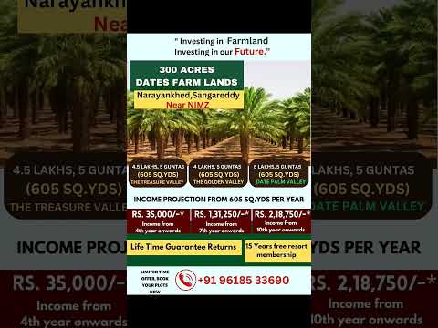 Farmland Plots Sale Narayankhed,Sangareddy Hyderabad. #openplots #sale  #farmland #agriculturalland