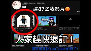 [😡垃圾盜片狗😡]這87盜了很多youtuber的影片！包括我在內！