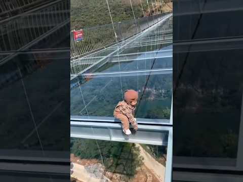 Baby on chaina glass bridge.. #cutebaby #cute #baby #viral