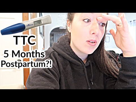 TTC 5 MONTHS POSTPARTUM?| Baby Fever