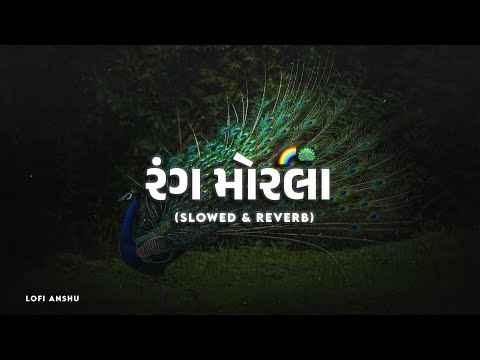 Rang Morla Slowed & Reverb | Bhavesh Ahir| રંગ મોરલા