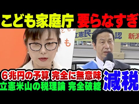 【減税】減税したら経済効果がと喚いた米山隆一、眼の前でこども家庭庁が存在価値がないことを立証されて税金が無駄金であることを暴露される【ゆっくり解説】