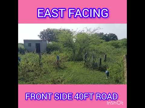 178YARDS, EAST FACING PLOT, AT RTC COLONY, PAIDIPALLI, WARANGAL,#realestate #warangal #plots #home