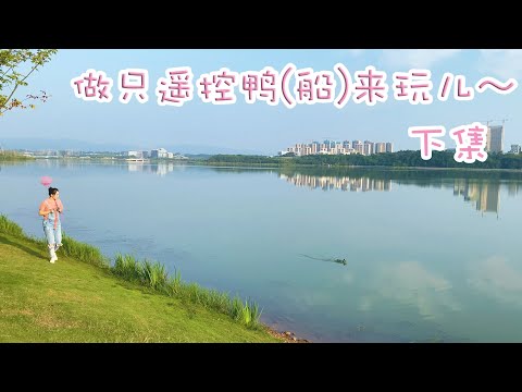 自制遥控鸭的下水测试！还有泵喷鸭参与戏水！两只都是公鸭～