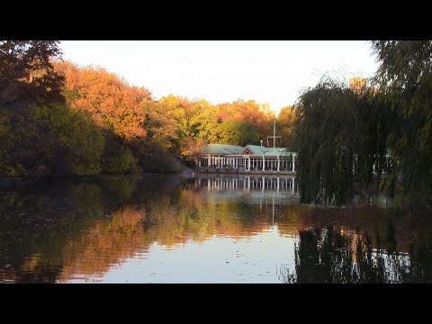 秋天到中央公園賞美麗楓紅，再來尋找電影秘境 Beautiful maple trees in Central and secret movie filmed spot