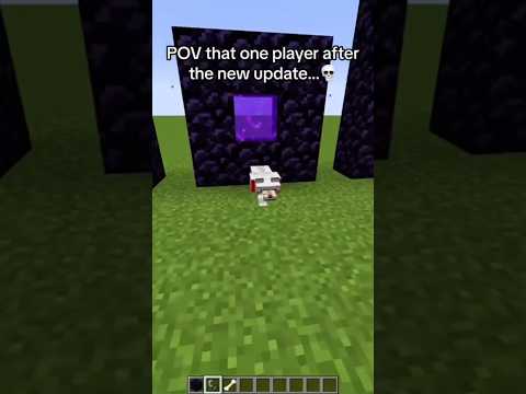 POV That One Player Who Did This After A Minecraft Update #shorts