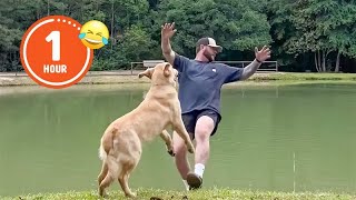 FUNNIEST Pets of 2024...So Far 😂 | BEST Compilation