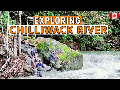 269🇨🇦 Exploring Chilliwack River