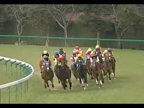 ラインクラフト 2005年 第39回報知杯フィリーズレビュー(GII)  (優勝馬：ラインクラフト) (実況：ラジオNIKKEI)