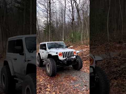 Take a joyride through the colors of autumn with this off-road jeep! #shorts #jeep #offroading