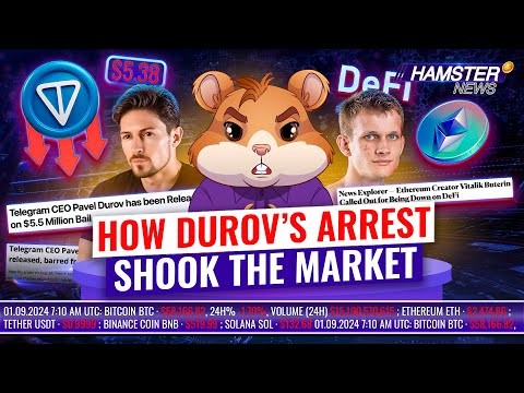 Durov’s €5m bail and ongoing investigation shakes TON, Buterin under fire ⚡️ Hamster News