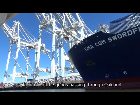 【酷僑專區】跟著海外學生一起環遊世界｜美國舊金山灣區｜2024｜The Largest Container Port On The West Coast Of The United States