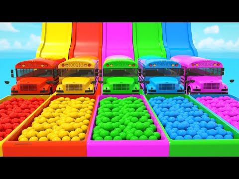 The Wheels on The Bus Song | Colorful Bus | SquareWheels TV Nursery Rhymes & Kids Songs