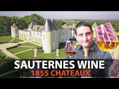 Your Essential Guide to Sauternes | Fine, Rare, & Most Expensive Wines from Bordeaux Part.3