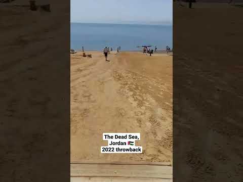 Hilton by the Dead Sea's private beach JO #shorts #2022travel