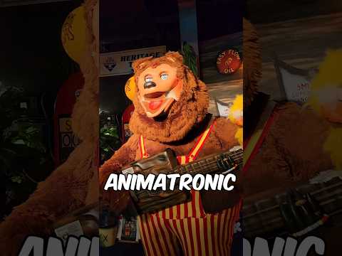 I Went to FNAF in Real Life! (The Rock-afire Explosion)