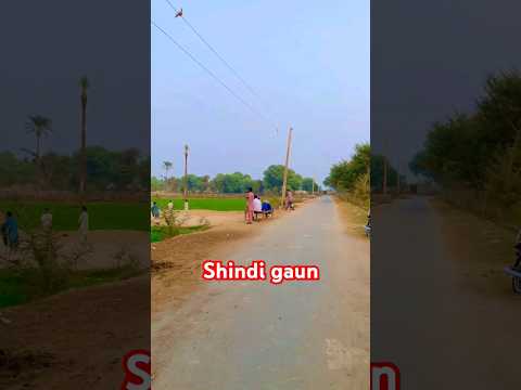 shindi goun  village ♥️♥️♥️ #trending #minivlog #vairalshort #love