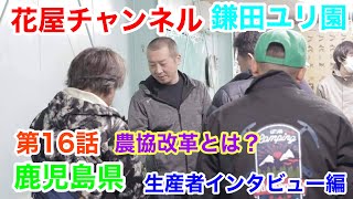 【花屋チャンネル】農協改革とは⁉️生産者インタビュー‼️鹿児島県の百合農家‼️鎌田洋平さんの開業話#鎌田ユリ園#百合農家#オリエンタル#百合#鹿児島#鎌田洋平#生産者#ユリ