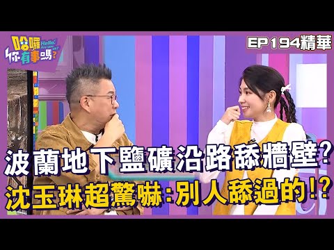 【精華】波蘭地下鹽礦沿路舔牆壁？沈玉琳超驚嚇：別人舔過的？︱EP194👋20241029︱#哈囉你有事嗎