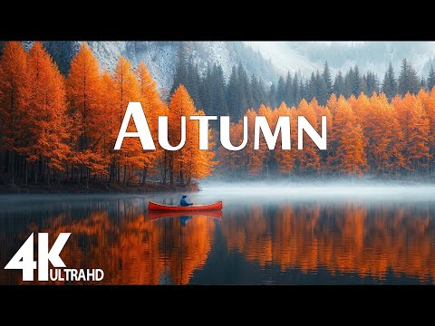 Autumn 4K Nature Relaxation - Stunning Fall Foliage & Calming Music