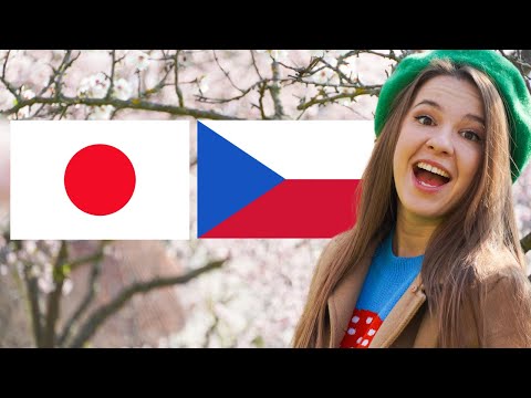 Prague Meets Japan - How Did This Happen?