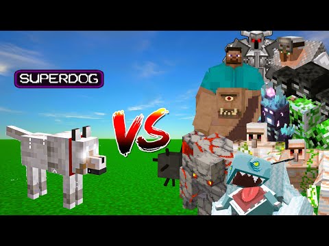 SUPER DOG vs Minecraft Bosses mobs