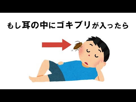 いつか役に立つ雑学