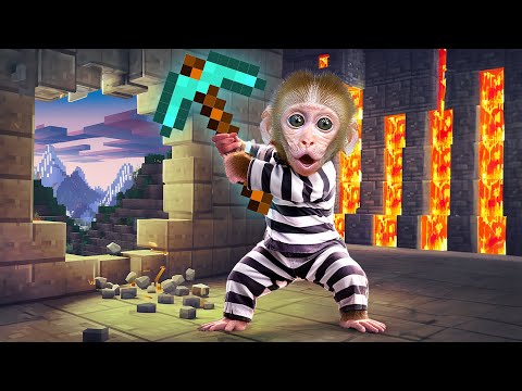 KiKi Monkey survive 100 Days in Minecraft Maze Challenge to swimming with Duckling |KUDO ANIMAL KIKI