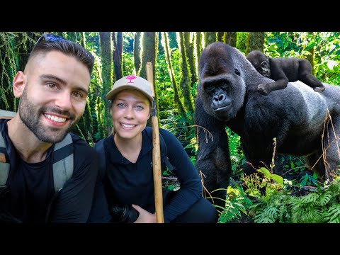 Incredible Encounter with Mountain Gorillas in Uganda