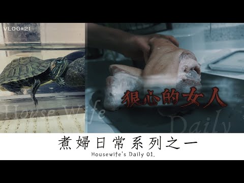 煮婦 Vlog #21 | 主婦日常 牛肉番茄湯 德國豬腳 | #巴西龜 #寄養 #簡單料理